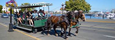 Victoria by Horse-Drawn Trolley Cruise Tour