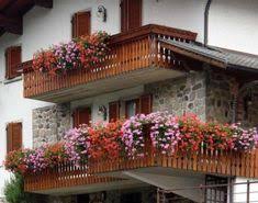 Estoy intentando identificar unas plantas colgantes que he visto en un balcon porque me han. 31 Ideas De Flores Balcon Flores Balcon Flores Colgantes Flores