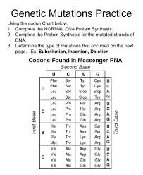 Some of the worksheets for this concept are genetic mutation work, deletion insertion frameshift point mutation changes, work mutations practice, name toc mutations activity, mutations work. Genetic Mutations Assignment Worksheet
