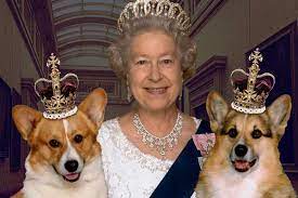 Elpusztult vulcan, az angol királynő kutyája. A Brit Uralkodo Utolso Corgi Kutyaja Is Elpusztult