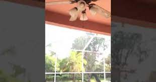 10616 Cape Hatteras Dr Tampa Fl Platinum Mvp Realty Llc Anyone Loo Looking For Houses Cape Hatteras Hatteras