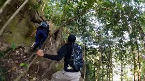 Preply.com has been visited by 10k+ users in the past month Bukit Payung Parit Sulong Batu Pahat Day Hike Youtube