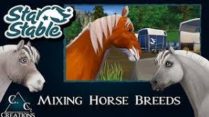 The quests with ms drake and herman after becoming 'friendly' with the ged jarlaheim office; Saving Nightdust New Story Quest Star Stable Online Update