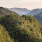 Lunchtime Talk - Borrowdale Rainforests National event image