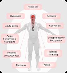 In recent decades, the picture has become more complex. Central Nervous System Symptoms Or Diseases Of Patients With Covid 19 Download Scientific Diagram