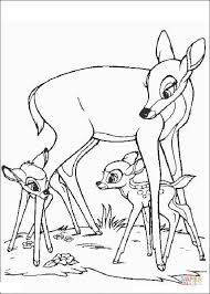 Quality coloring pages for adults and children. Bambi Faline And His Mom From Bambi Coloring Pages Bambi Coloring Pages Coloring Pages For Kids And Adults