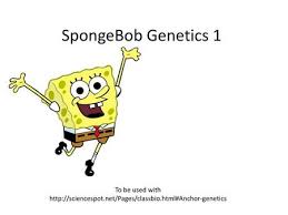 I already have the first part i need the other parts. Spongebob Genetics 1 2 To Be Used With Ppt Video Online Download