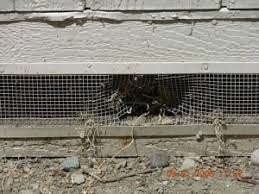 • residential pest exclusion • commercial pest exclusion learn more. Rodent Exclusion Proofing Adios Pest Control