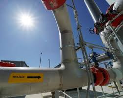 Why biomethane is not the solution to Britain’s gas supply issues | Letter