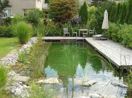 Pin By Tracy Austin On Zahradni Jezirka Pool Water Features Natural Swimming Ponds Ponds Backyard
