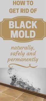How To Get Rid Of Black Mold Naturally Safely And Permanently Mold In Bathroom Bathroom Mold Remover Mold Remover