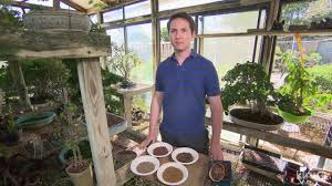 26 august at 12:49 ·. Bonsai Art Care Austin Bonsai Society Central Texas Gardener Youtube