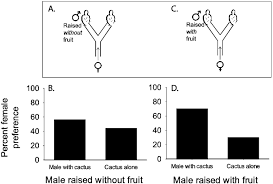 Insects of tasmania, australia, focussing on hemiptera (bugs); Context Dependent Female Mate Preferences In Leaf Footed Cactus Bugs In Behaviour Volume 151 Issue 4 2014