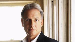 Dianne Butler: On the case of NCIS