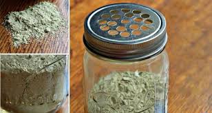 Produit naturel contre les puces. Anti Puces Naturel Testez Cette Recette De Grand Mere Flea Powder Fleas Home Remedies For Fleas