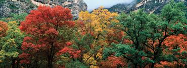 If you drive to the park, please use caution on the road. Guadalupe Mountains National Park National Park Texas United States Britannica