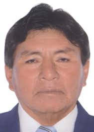 Ingresos de Otorongos Elecciones 2022