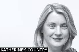 Top dairy farm opening to the public for National Dairy Week