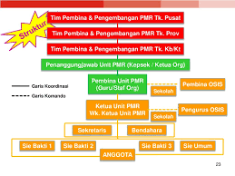 Posted by unknown at 12:06 am 0 comments. Struktur Organisasi Pmr Wira Dan Tugasnya Berbagai Struktur