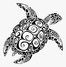 Free for commercial use with attribution. Sea Turtle Vector Graphics The Turtle Image Sea Turtle Svg File Hd Png Download Kindpng