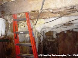 Check spelling or type a new query. Mold Remediation Serving Winston Salem Nc White Mold Molding Basement