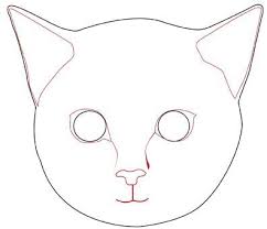 How To Draw A Realistic Cat S Face Cat Face Drawing Face Outline Simple Face Drawing