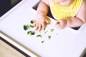 Dein baby fängt grob im alter von 4 bis 8 monaten an zu greifen. Ab Wann Durfen Babys Brokkoli Essen Babyled Weaning
