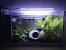 Unique Betta Tank Ideas
