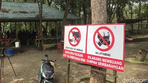 Gajahmungkur plgi paralayang 0.3 km. Harimau Lepas Dari Kandang Terkam Penjaga Kuda Hingga Tewas Nusa Daily