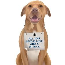 Dogs Canvas Art Icanvas