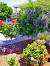 Bougainvillea Patio