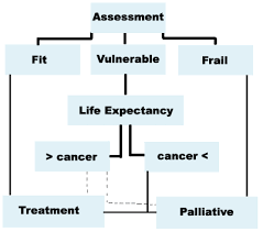 Applications In Geriatric Oncology