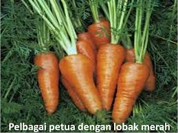 Jom baca artikel ini untuk ketahui dengan lebih lanjut. Pelbagai Petua Dengan Lobak Merah Wannura Petua Amalan