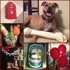 Fun Things To Do On Your Dog S Birthday Dog 3 3rd Or 21st Birthday Puppy Name Party Banner Balloons Alcohol Pillows In Bucket Fire Hydrant Theme Party Red Thr Dog Birthday Puppy Paws 21st Birthday
