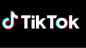 Tiktok Mod Apk Indians Found A New Way To Download Tiktok Despite Govt Ban Babblesports