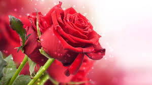 Whether you're celebrating valentine's day, a birthday or some other special occasion, a red rose bouquet from proflowers makes the perfect gift. Red Roses Flowers Green Petals Best Hd Desktop Wallpapers For Tablets And Mobile Phones Free Download 3840 2160 Wallpapers13 Com