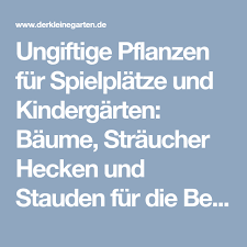 Ungiftige Pflanzen Fur Kindergarten Und Spielplatze Erprobte Auswahl Pflanzen Spielplatz Stauden