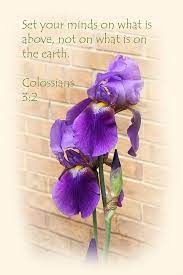 Pin On Devotionscripturebiblestudy