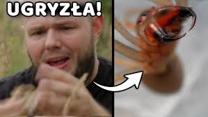 Gdzie jest William, Lance, Angus i Hank, Juan, Tom