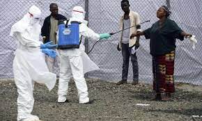 Binlerce kişinin ölümüne neden olan ebola virüsü, aralık 2013'te ilk olarak batı afrika'da yayılmıştı. Ebola Epidemic 2014 Timeline Ebola The Guardian