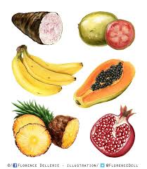 Illustrations De Fruits Et Legumes Exotiques A L Aquarelle Le Carton A Dessins De Flo Legume Exotique Illustration De Fruits Fruits Et Legumes