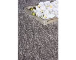 70 cm x 140 cm) zum produkt. Barbara Becker Teppich Shag Touch Taupe 140 X 200 Cm Bei Hornbach Kaufen