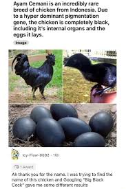 Ayam Cemani is an incredibly rare breed of chicken from Indonesia. Due to a  hyper dominant pigmentation gene, the chicken is completely black,  including it's internal organs and the eggs it lays.