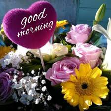 good morning photo के लिए इमेज परिणाम