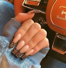 Kylie Jenner Nails On Instagram Leopard Mani By Chaunlegend Kylie Nails French Tip Acrylic Nails Kylie Jenner Nails Leopardos could be a compound of λέων (leōn), meaning lion, and πάρδος (pardos).101112 the word λέοπάρδος originally referred to a cheetah.13.