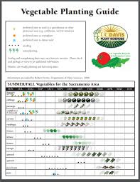 Check spelling or type a new query. Which Vegetables Can I Plant Now In Southern California Greg Alder S Yard Posts Southern California Food Gardening