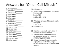 More images for animal cell mitosis worksheet answers » Ppt Inside A Cell Powerpoint Presentation Free Download Id 1519760