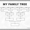 The family tree tool of vp online is a web based family tree tool, with a drag and drop interface you can start creating your own family trees with the templates for free. 1