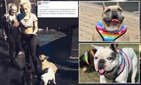 A third escaped and was later found by police. Lady Gaga Praises Hero Dog Walker Who Risked His Life To Fight When Her Dogs Were Stolen Daily Mail Online
