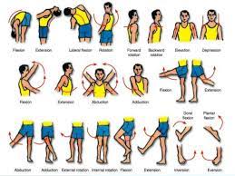 Oct 29, 2020 · anatomical movements are no different. Anatomical Body Movements Human Anatomy Quiz Quizizz